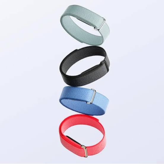 Google Fitbit